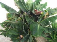 /album/fotogalerij/img-20190712-190444-jpg/