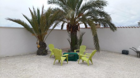 Gezellig onder de palmboom